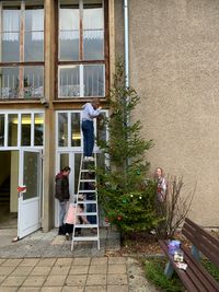 Der Weihnachtsbaum wurde geschm&uuml;ckt